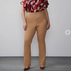 Women pants